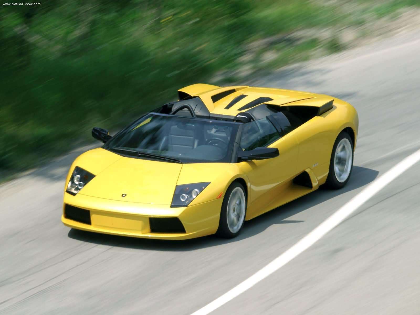 lamborghini (4).jpg
