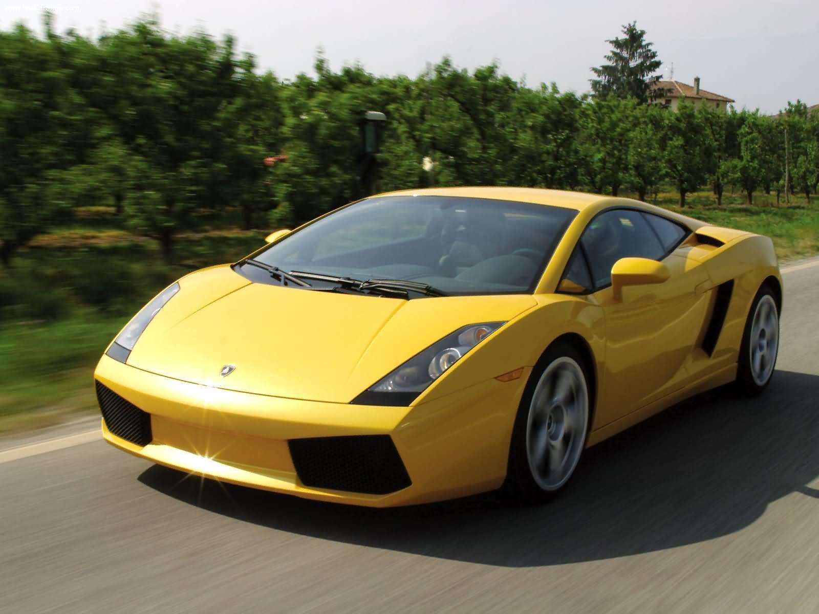 lamborghini (2).jpg