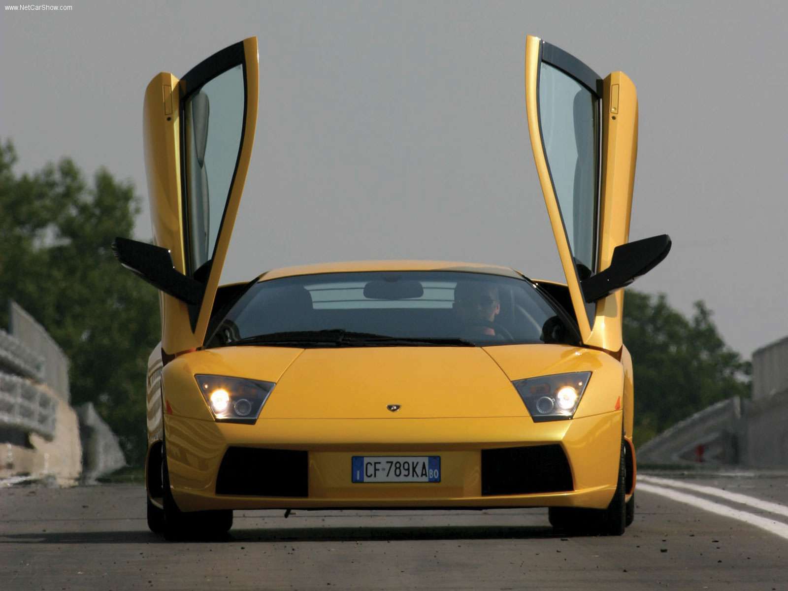 lamborghini (3).jpg
