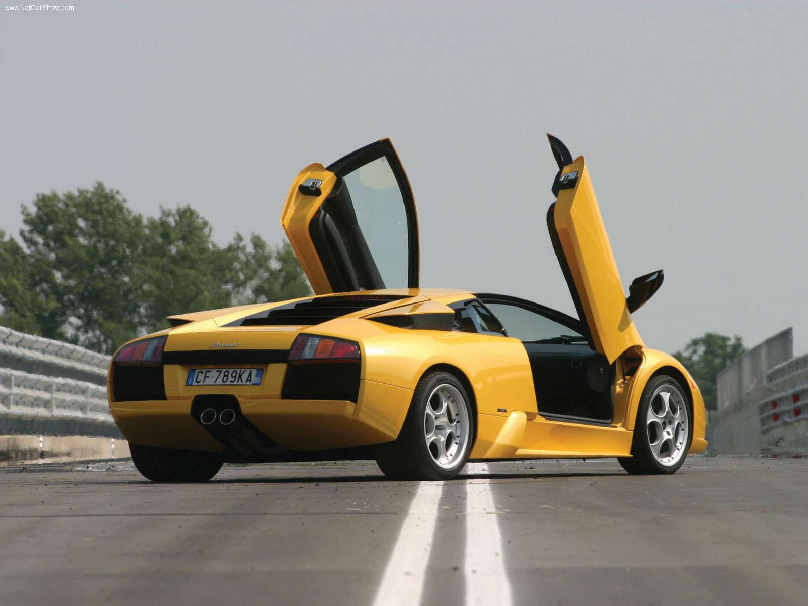 lamborghini (5).jpg